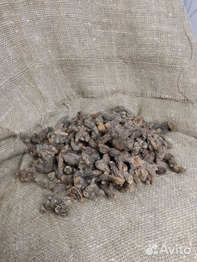 Корень калгана