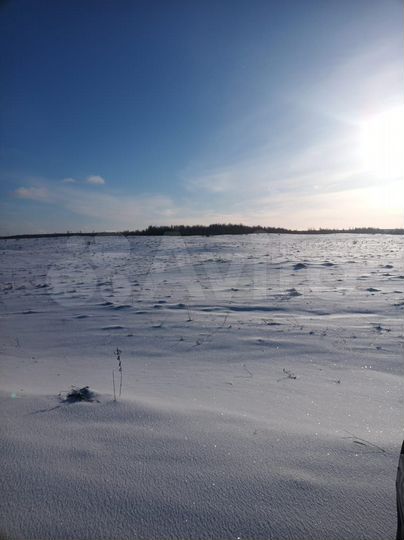 Участок 23 га (СНТ, ДНП)