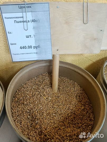 Зерно пшеница ячмень