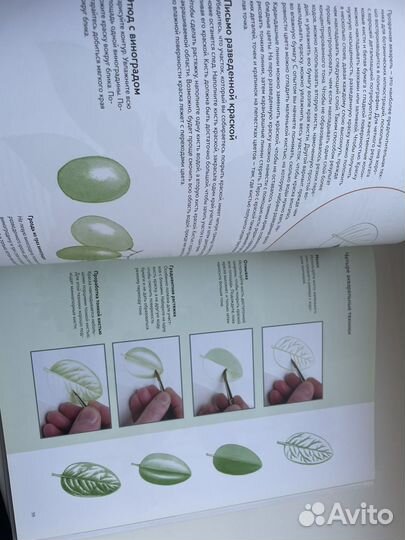 Книга Ботаническая Иллюстрация