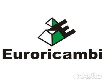 Euroricambi 56170598 Фланец карданного вала