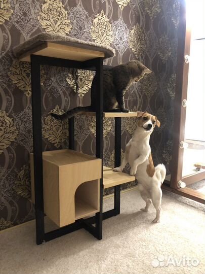 Домик для кошки, кошкин дом