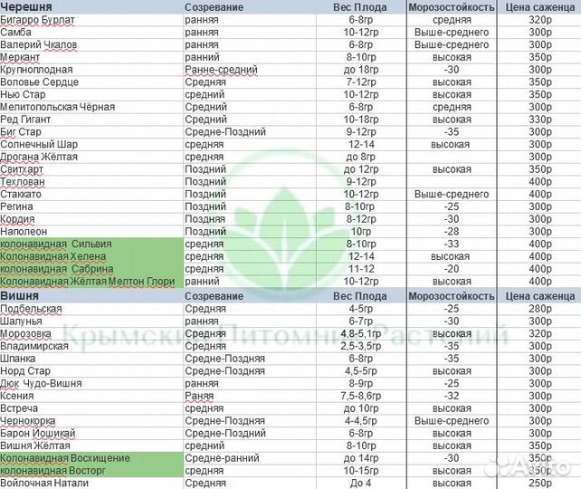 Саженцы плодовых и декоративных на осень 2023