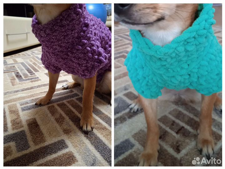 Вязаные вещи для собак