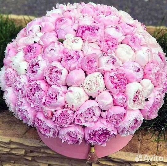 Пионы Цветы Доставка