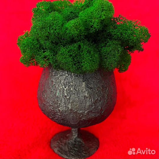 Стабилизированный мох бокал