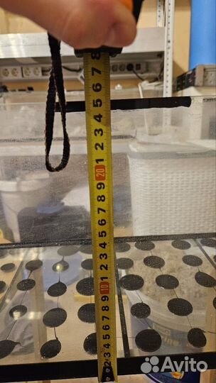 Аквариум с двойным дном