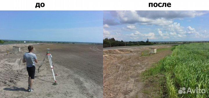 Травосмесь для восстановления земель