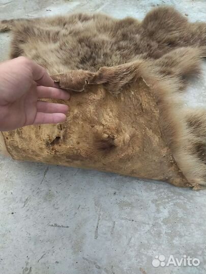 Шкура медведя имитация