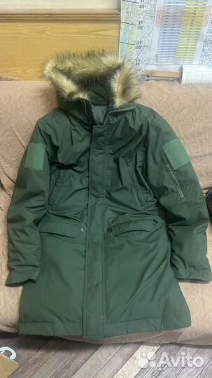 Аляска зимняя зеленка