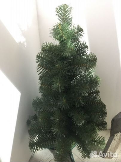 Ель,Царь елка»