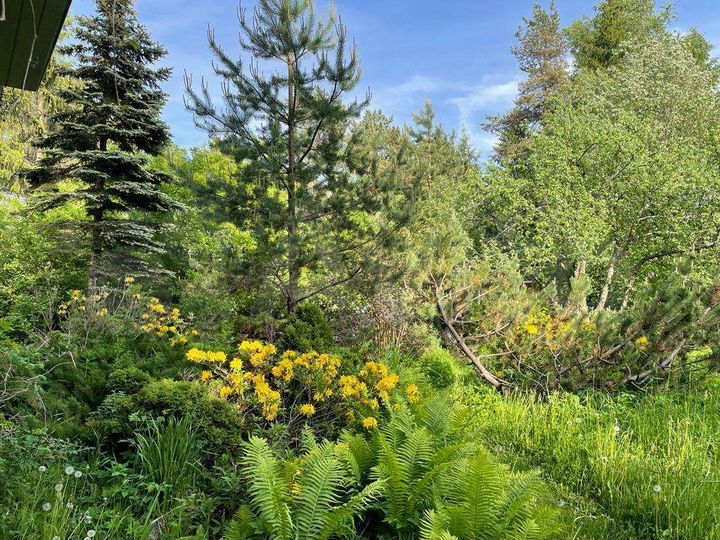 Дача 50 м² на участке 8 сот.