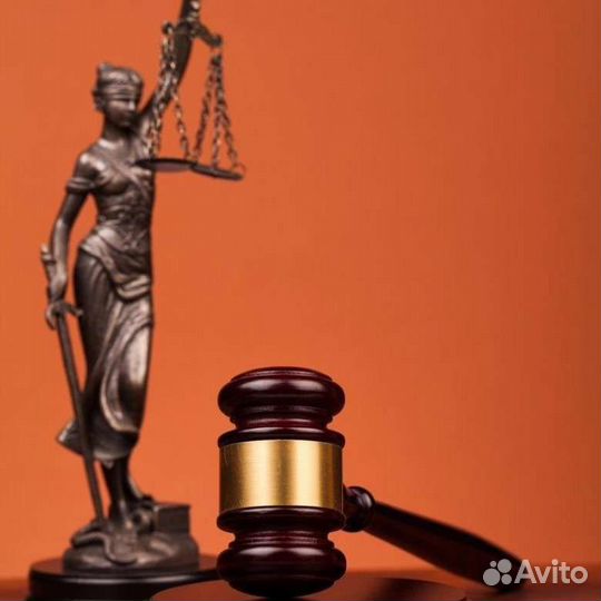 Гражданский юрист