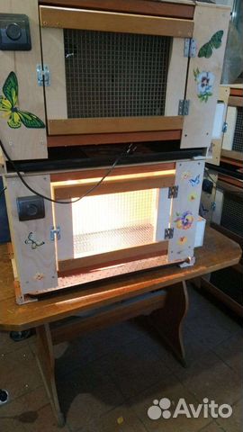 Супер брудер для цыплят