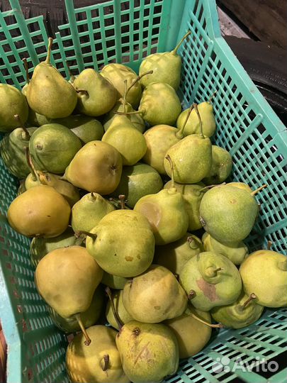 Груши