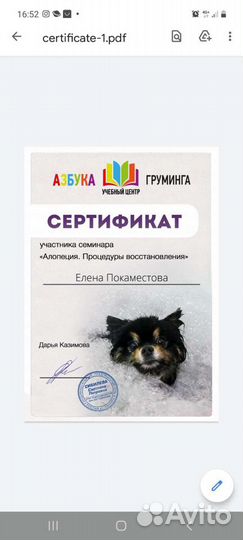 Стрижка собак и кошек