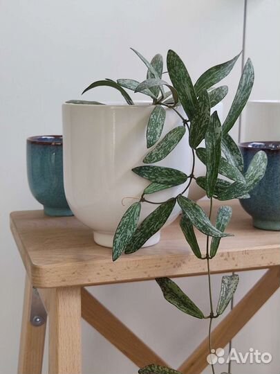 Кашпо для цветов (новые)