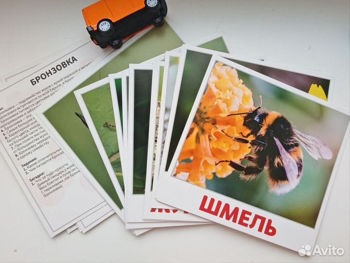 Развивающие игрушки