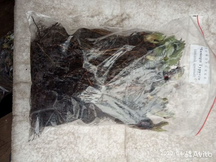 Саженцы клубники О, К, С