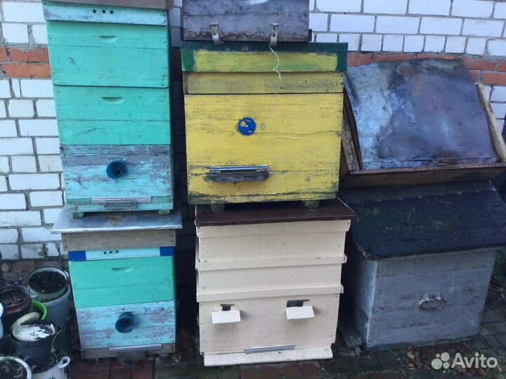 Ульи для пчел,колода