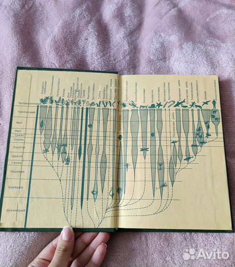 Основные биологические понятия и термины