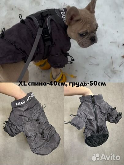 Одежда для собак новая