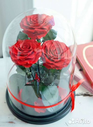 Роза в колбе King