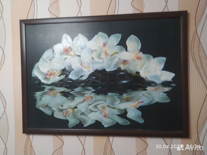 Картина интерьерная Орхидеи