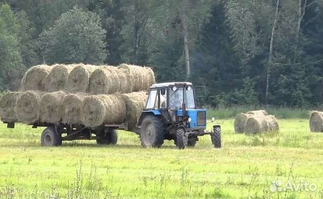 Сено в рулонах