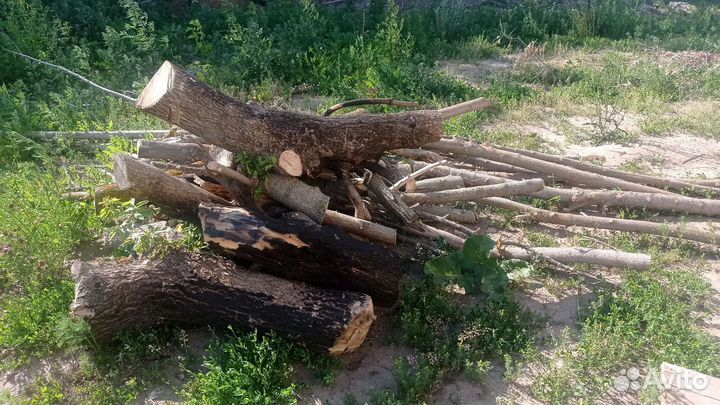 Дрова бесплатно