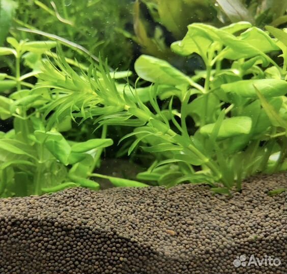 Пропант. Аквариумный грунт