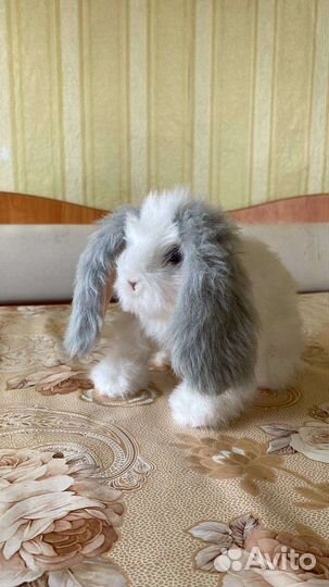 Кролик интерактивный прыгает и нюхает носиком б/у