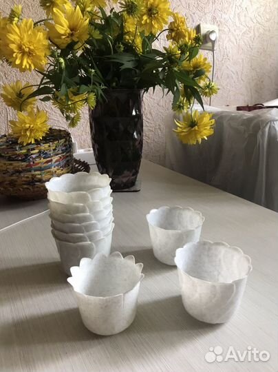 Кашпо для суккулентов бу