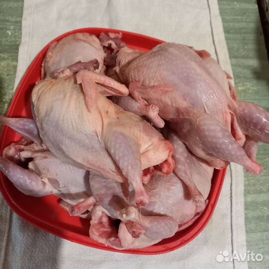 Мясо перепела