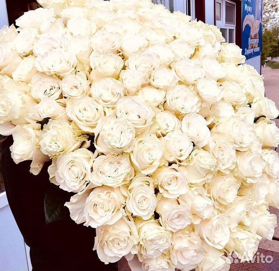 Высокие розы Гигантские розы 110