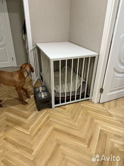 Клетка для собак антивандальная в белом цвете