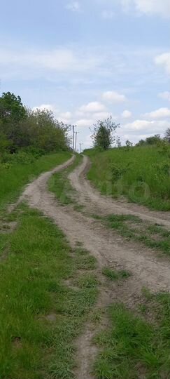 Участок 10 сот. (СНТ, ДНП)