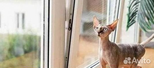 Пластиковые окна от производителя