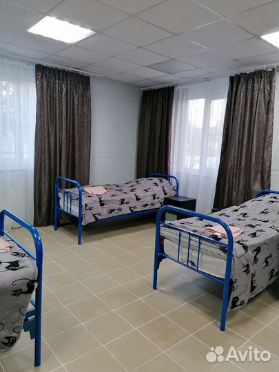 Аренда дома (снять квартиру, номер)