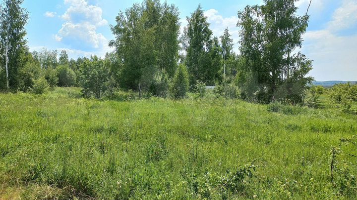 Участок 16 сот. (СНТ, ДНП)