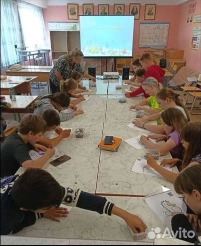 Продам готовый бизнес рисунки лесные жители