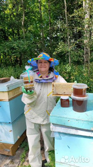 Предзаказ на свежий мед Псковское разнотравье