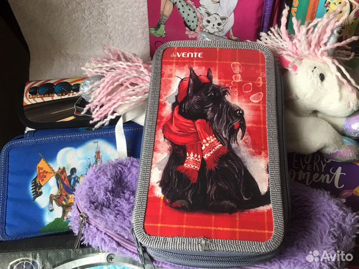 Пеналы для школы