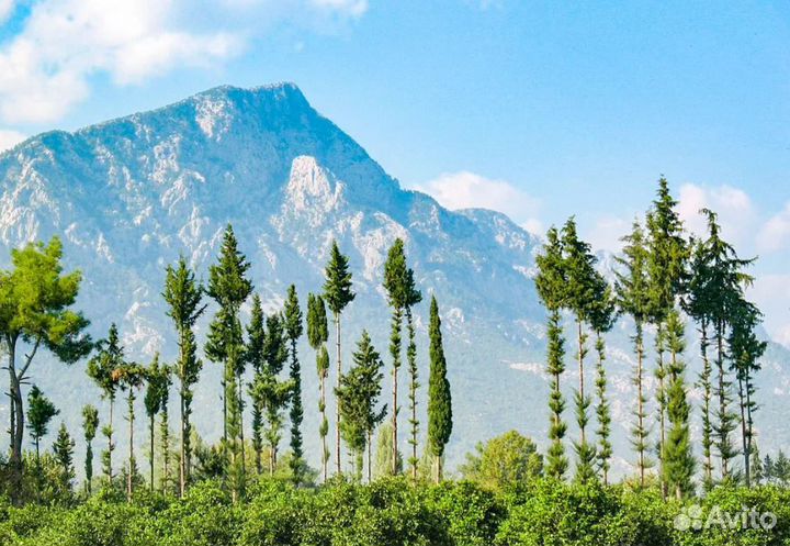 Турпоездка в Kemer 7 дн