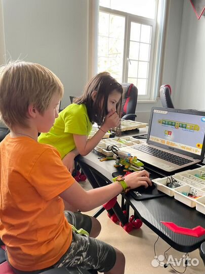 Робототехника и программирование