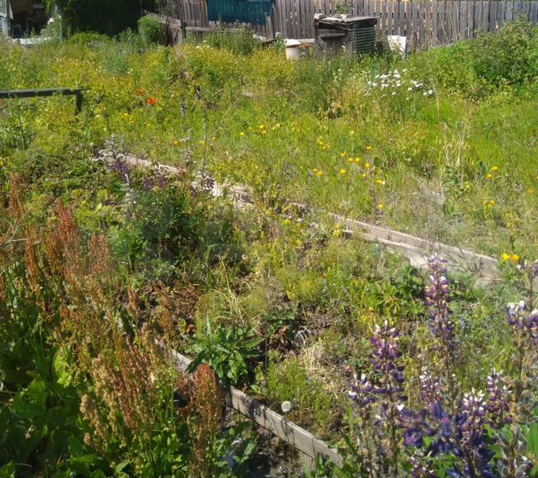 Участок 2,8 сот. (СНТ, ДНП)