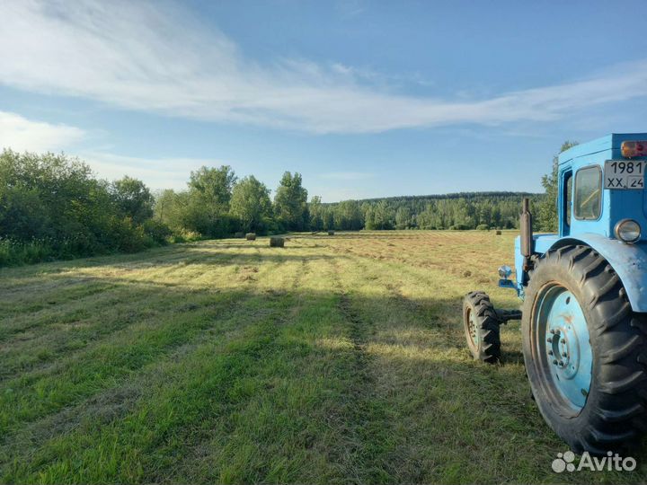 Сено в рулонах