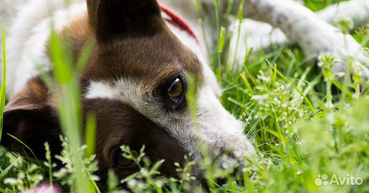 Камера видеонаблюдения с установкой
