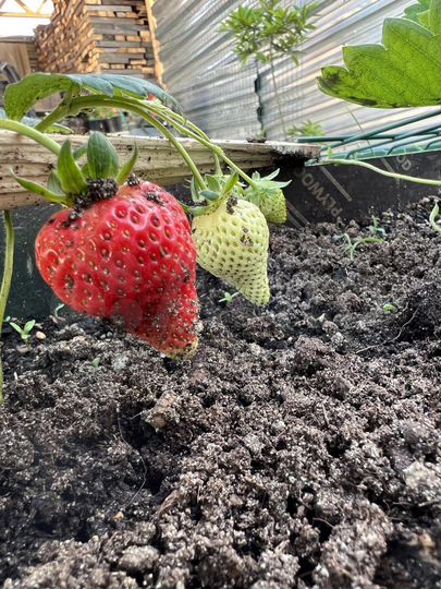 Дом 134 м² на участке 4 сот.