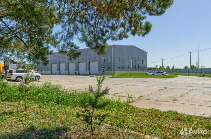 Wabco: haldex: knorr-bremse